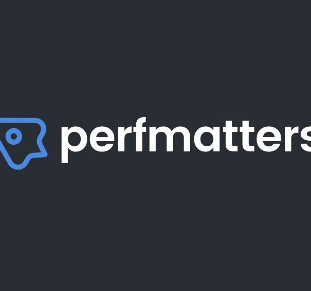 Perfmatters – Plugin tăng tốc website với WP-Rocket tốt nhất